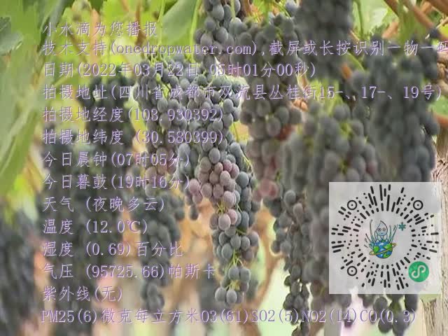 0.mp4