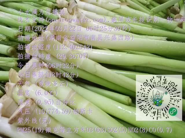 0.mp4