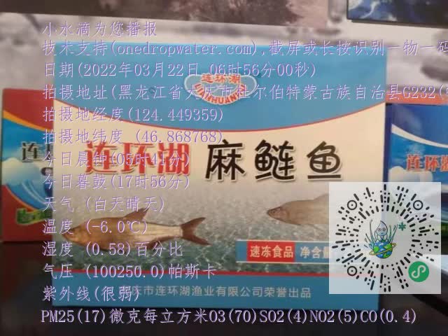 0.mp4