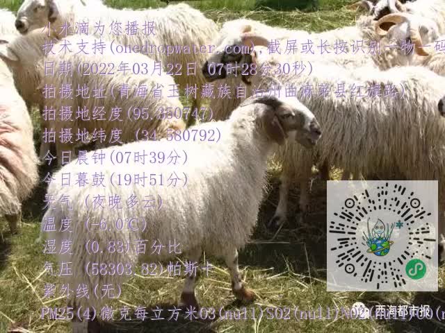 0.mp4