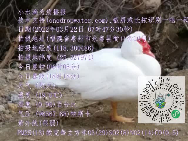0.mp4