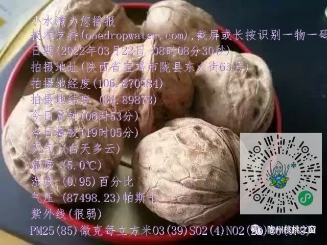 0.mp4