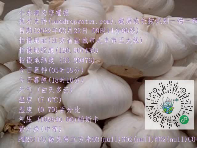 0.mp4