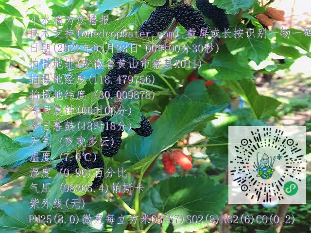 18053b670e2cd33b08f50659850fbd57.mp4