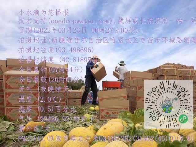 0.mp4