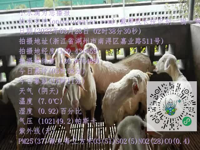 0.mp4