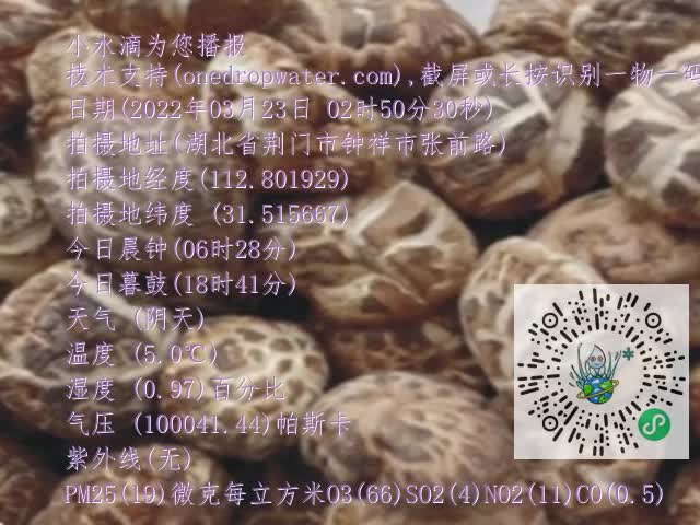 0.mp4
