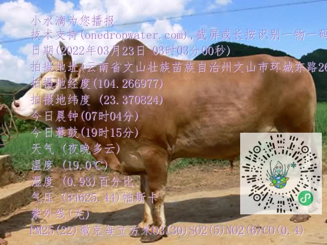0.mp4
