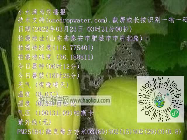 0.mp4