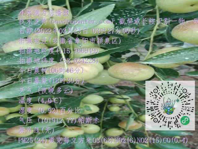 0.mp4