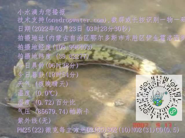0.mp4