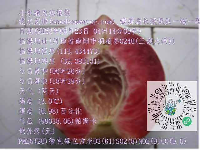 0.mp4