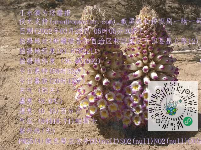 0.mp4