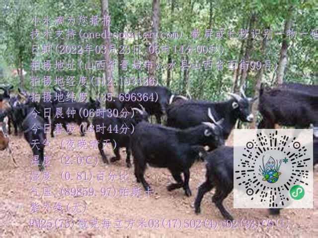 0.mp4