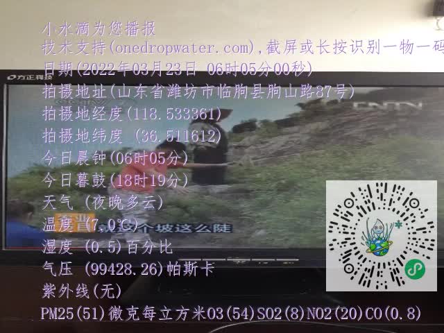 0.mp4