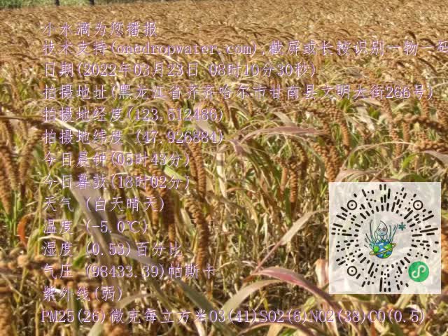 0.mp4