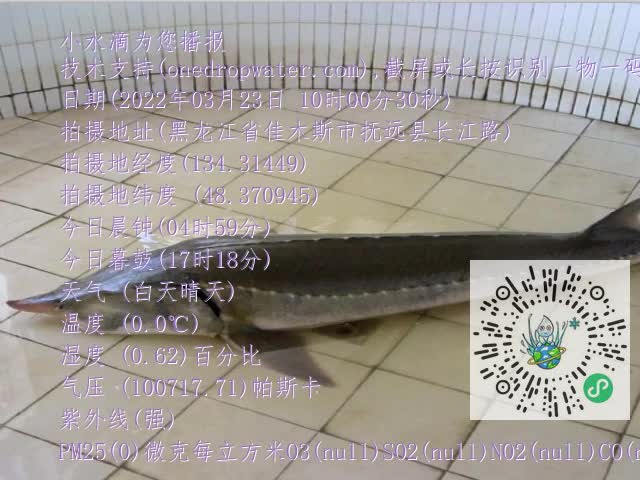 0.mp4