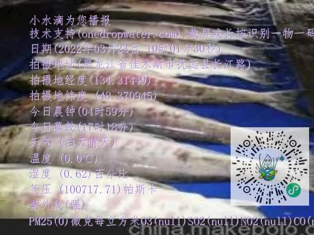 0.mp4