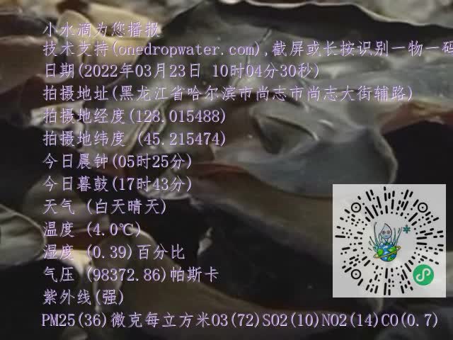 0.mp4