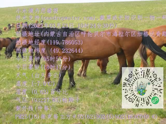 0.mp4