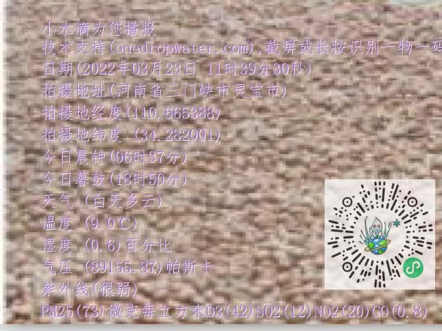 0.mp4