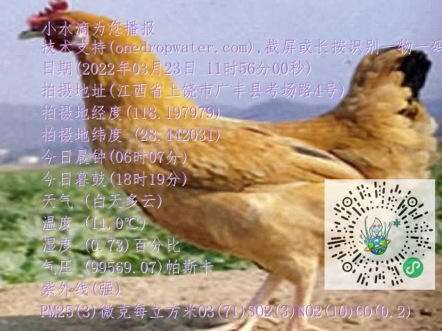 0.mp4