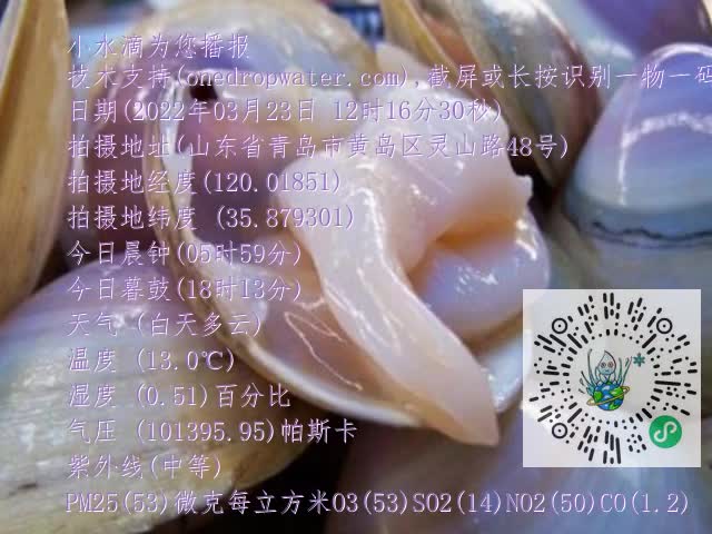 0.mp4