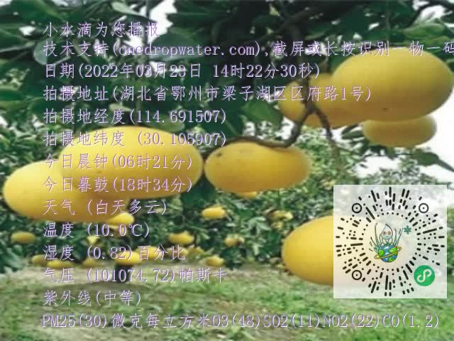 0.mp4
