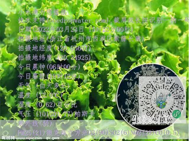 8bf87a48d095cf7944be3ea9e09ea14d.mp4
