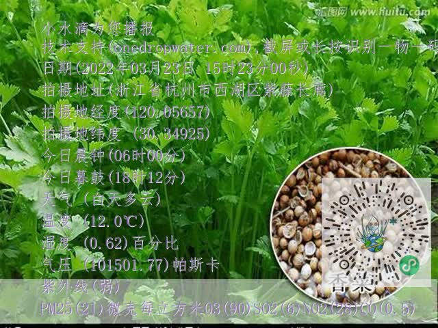 2a985a522c75a847263c26cdf1b8246d.mp4