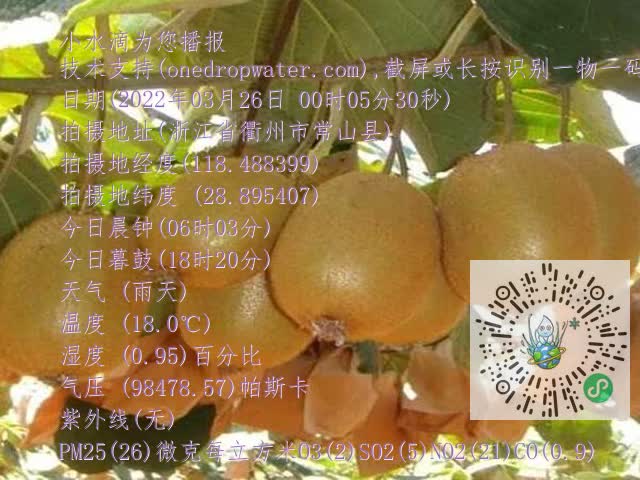 cf396d90520328060e002c0381a78e2e.mp4