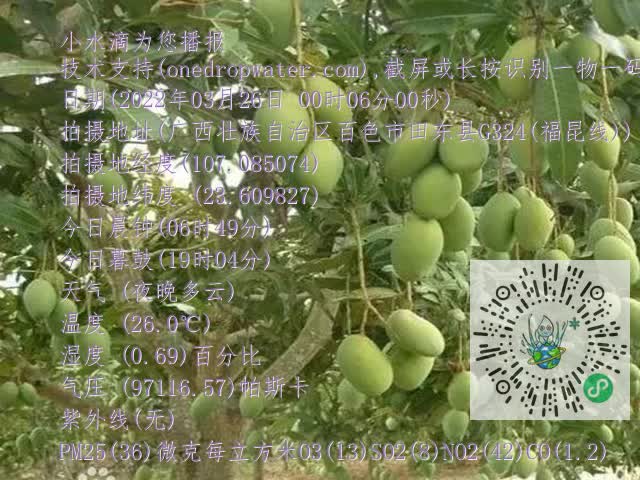 8ef11e115cff7ad3080e45ead4504c5b.mp4