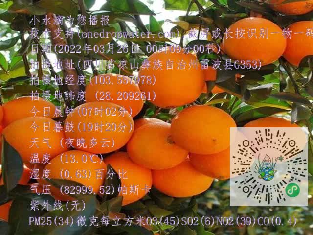 03266e80825dec241819f765aa078752.mp4