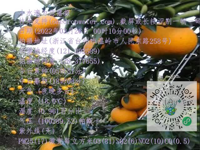 dcb54634031d6cd8388b95b924b82b1f.mp4