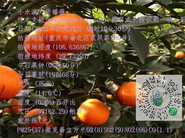 693d57fa5265c4bfd2e5ac517f4f2f70.mp4