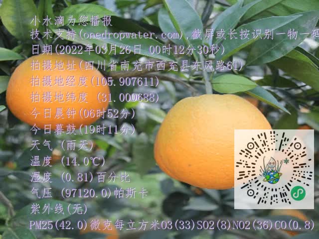 549f521e5c04fd184cea909616b9b61f.mp4