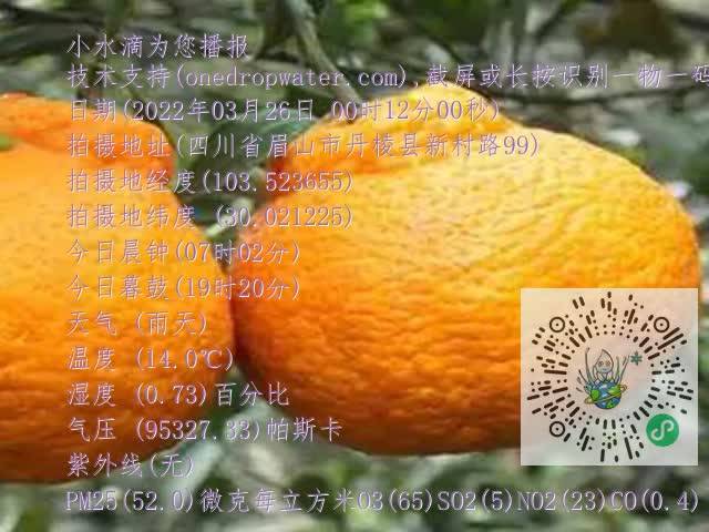 fcd7ad02a655962e6ab6a61dd021584d.mp4