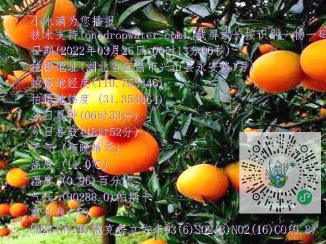 9f27c15a54c36c088ceecf758502d516.mp4
