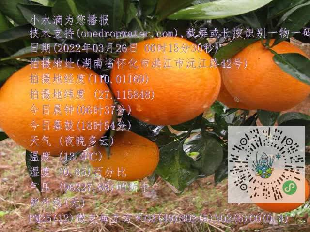 b3513e339bba9c001e0b49f97f9511cd.mp4