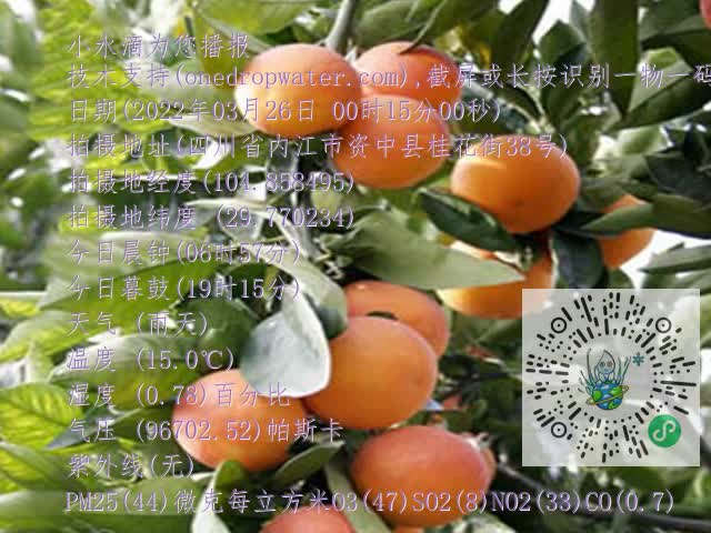 e3ebbcc65406adf59700652ad5a43744.mp4