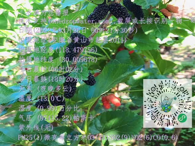 18053b670e2cd33b08f50659850fbd57.mp4
