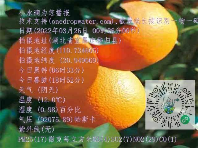 894be84cbf6a1b3eff14f523ce6c874a.mp4