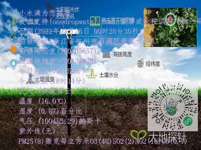 c5f5e29d78ef5b5e9254e5c36352b567.mp4