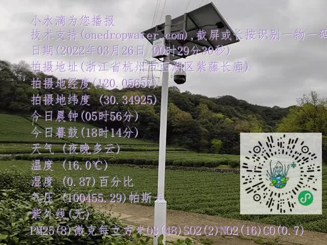 8f51851e5b0cc2f9d6fcbdef90be2c88.mp4