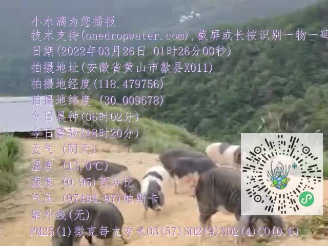 7756d8ddc8a2b12d0eee5752912e28e7.mp4