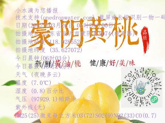 3fae5a0705537a43980c1c02cdb77117.mp4