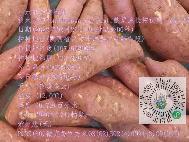 0.mp4