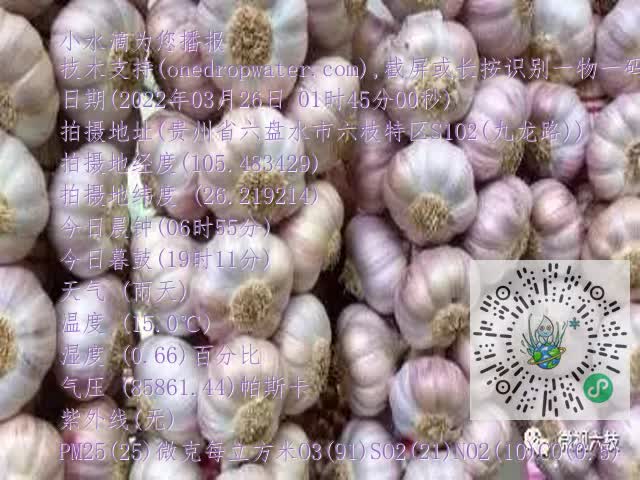 0.mp4