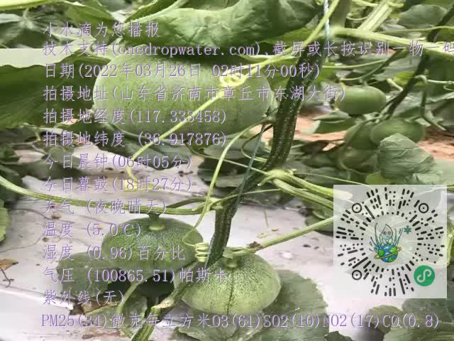0.mp4