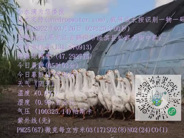 0.mp4